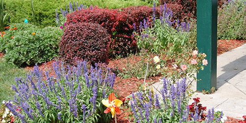 Lakeview Plaza side garden 